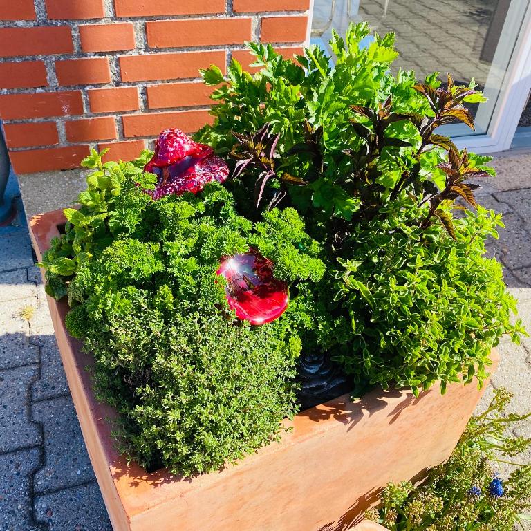 Zahrada ubytování Apartment med udsigt over Nordmors