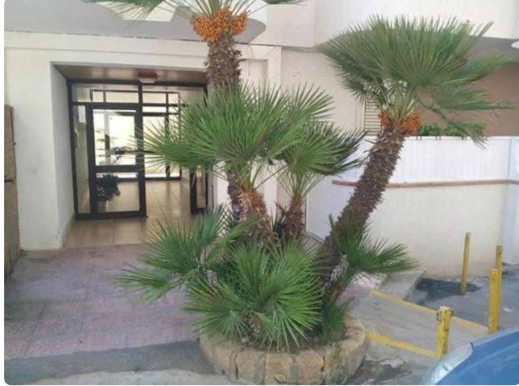 San Leone Apartment