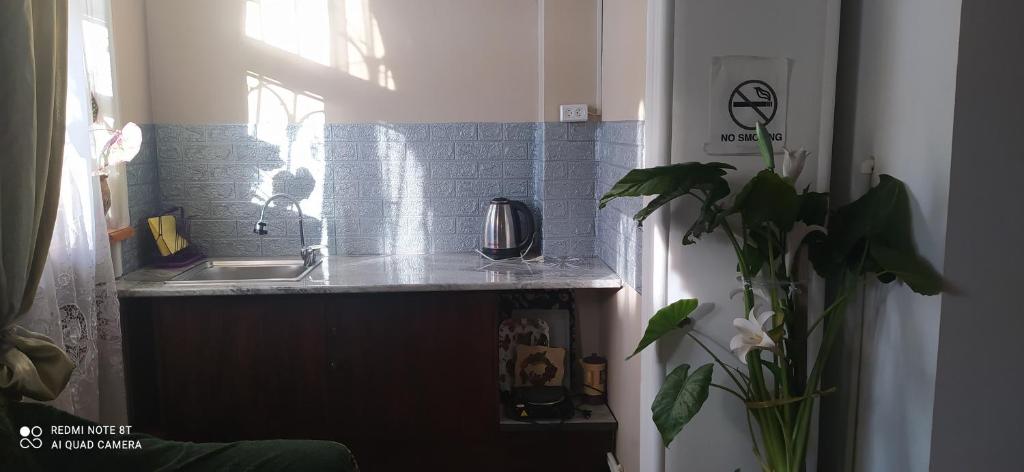 Kuchyň nebo kuchyňský kout v ubytování Hotel ,,Tengo,,