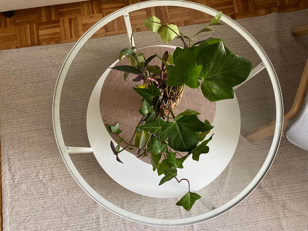 Puerta al cielo Suite - 6