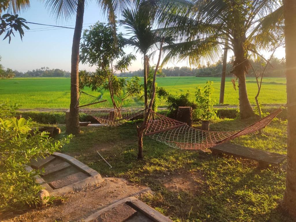 Zahrada ubytování Village Mango Resort Yala