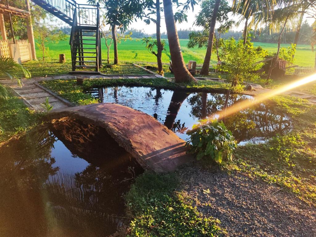 Zahrada ubytování Village Mango Resort Yala