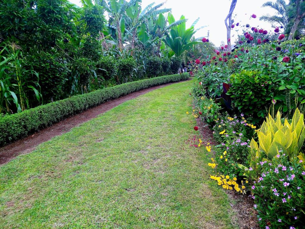 Zahrada ubytování Greenfield Homestay -Full board