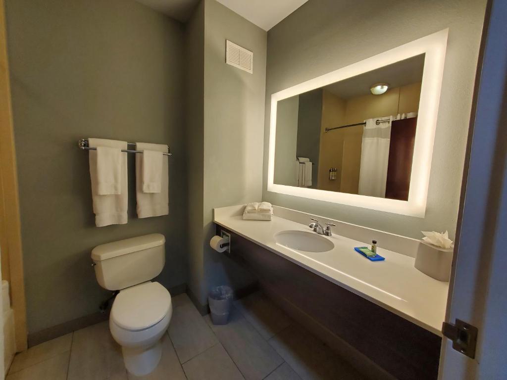 Holiday Inn Express Pearland by IHG - Standard Room