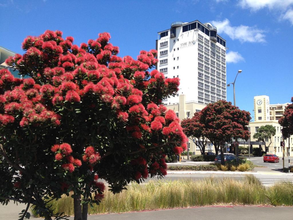 un arbre aux fleurs rouges devant un bâtiment dans l'établissement Bay Plaza Hotel, à Wellington