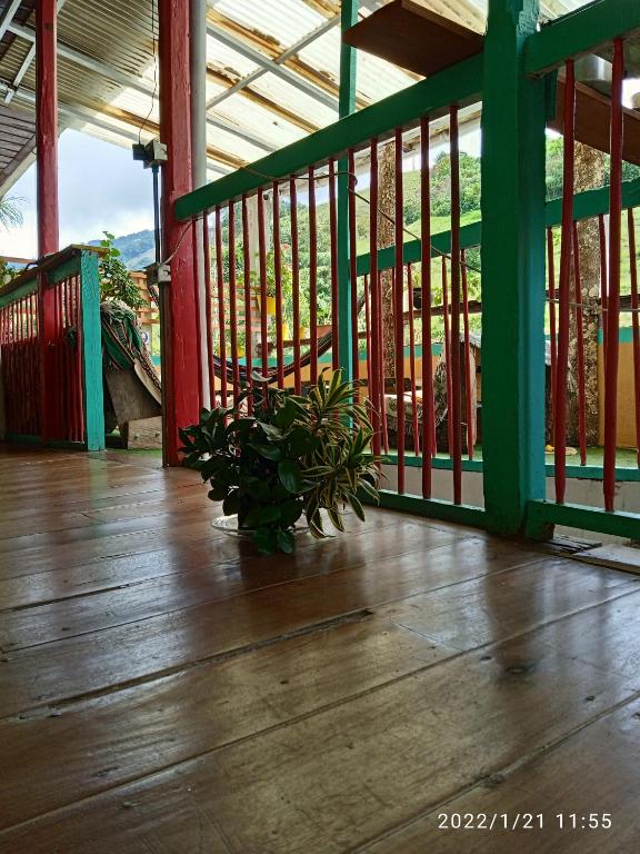 Un balcón o terraza en HOSTAL CASA VICTORIA PIJAO