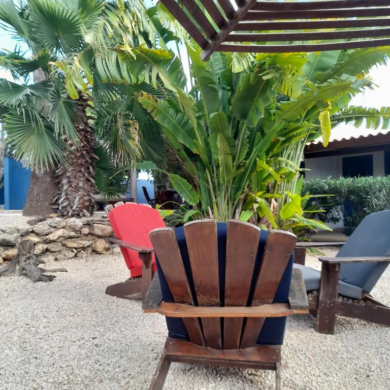 Zahrada ubytování Caribbean Chillout Apartments