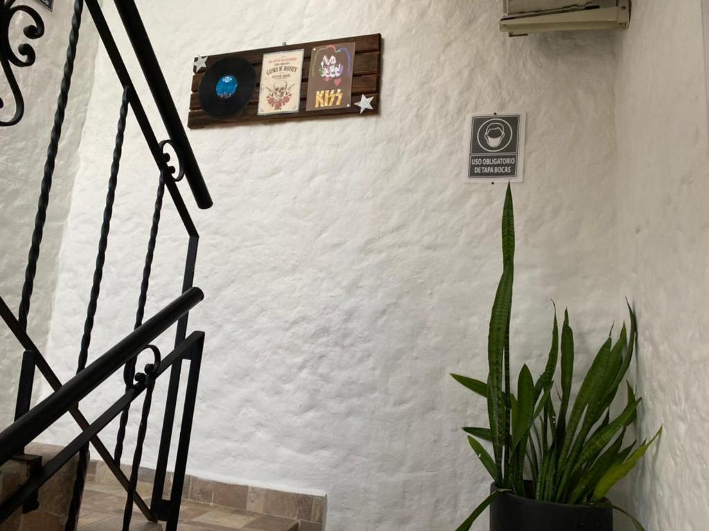 Fotografie z fotogalerie ubytování Hotel Ozzy v destinaci Doradal