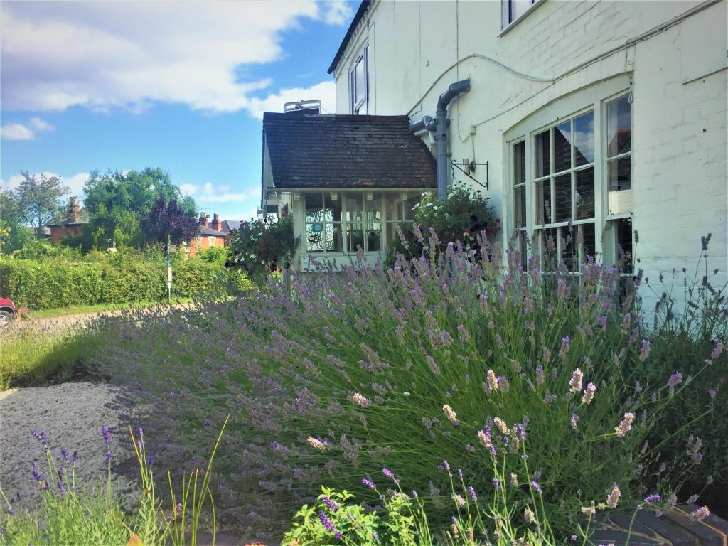 un jardín frente a una casa con flores púrpuras en The Bell Inn en Worcester