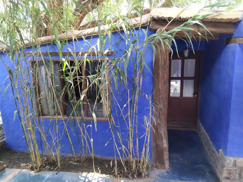 una casa blu con una porta e alcune piante di Piedra Campana alojamiento a Tilcara
