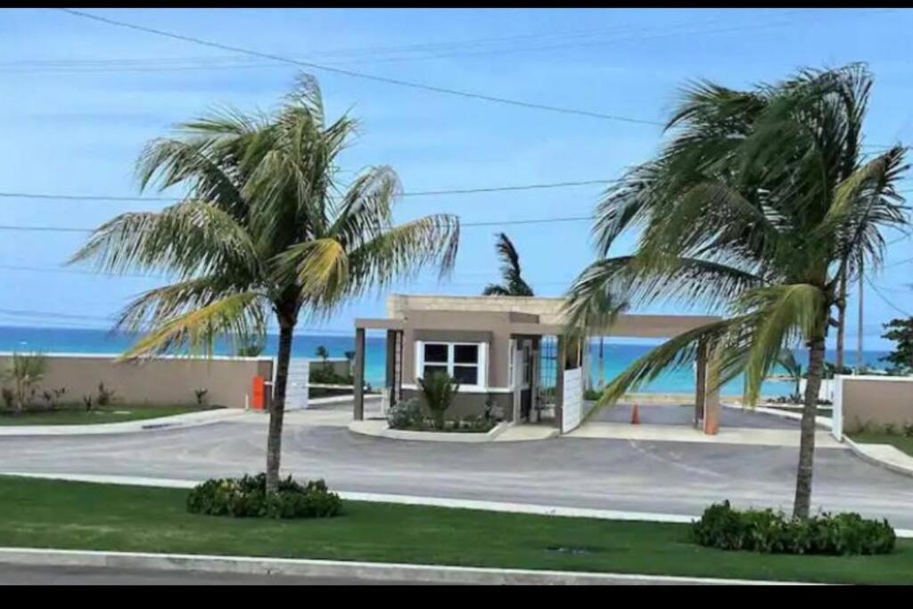 una casa con dos palmeras frente al océano en Natty’s Cozy Beach house in Hanover Jamaica, en Point