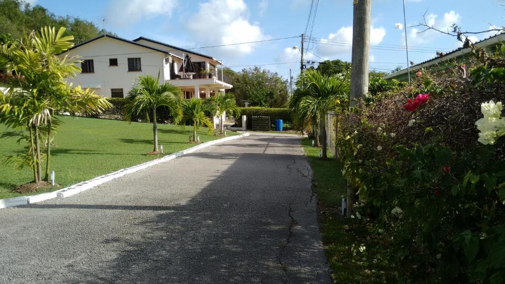 una carretera que conduce a una casa con palmeras en Annwin Annex, en Saint James