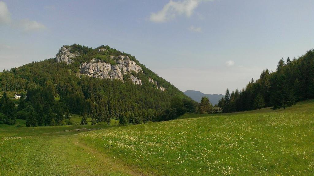 Příroda nedaleko apartmánu