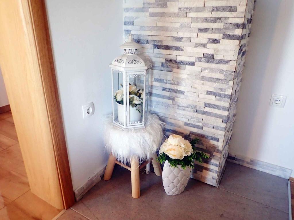 Fotografie z fotogalerie ubytování Apartment in Jasenice 42083 v destinaci Jasenice
