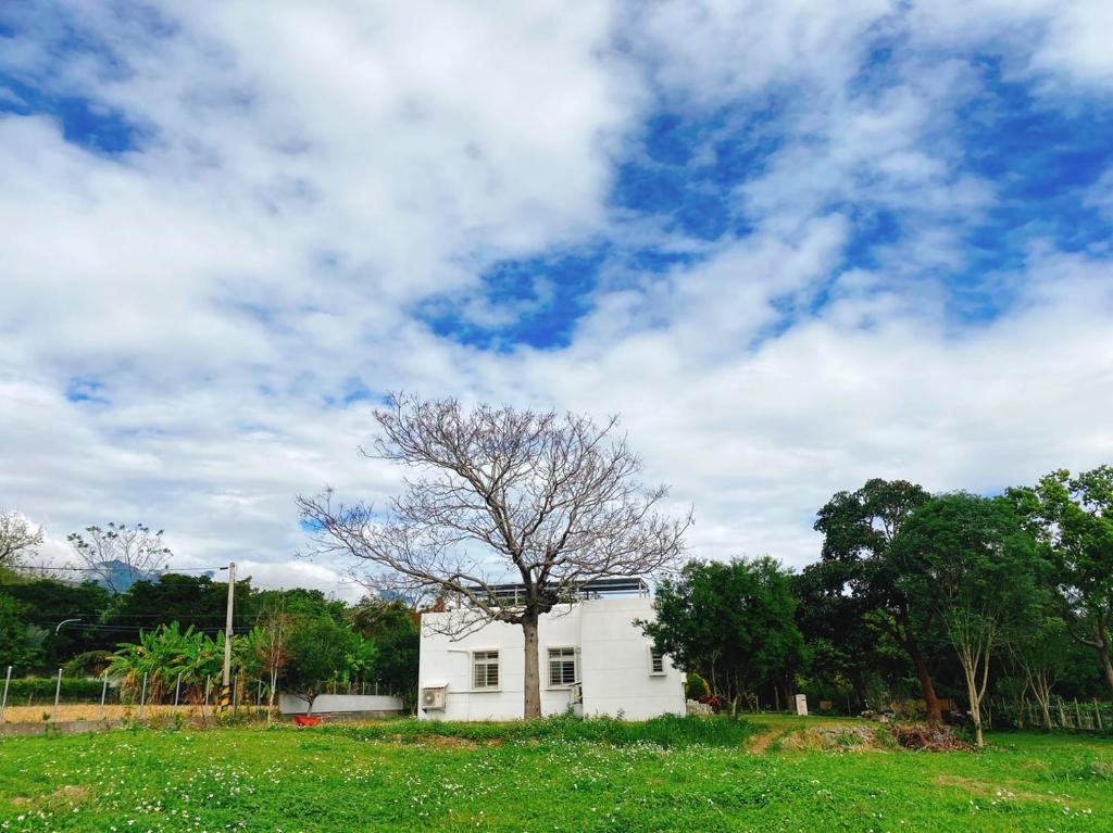 發呆永安室外花園