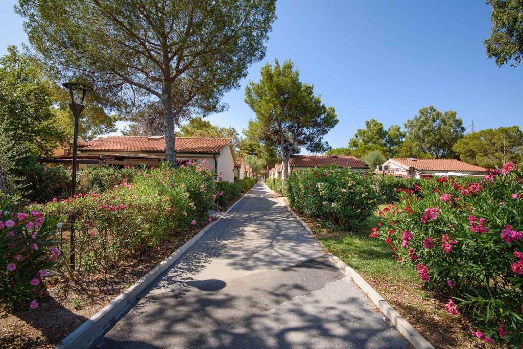 Gallery image of Holiday Homes in Piombino - Toskana 42359 in Piombino