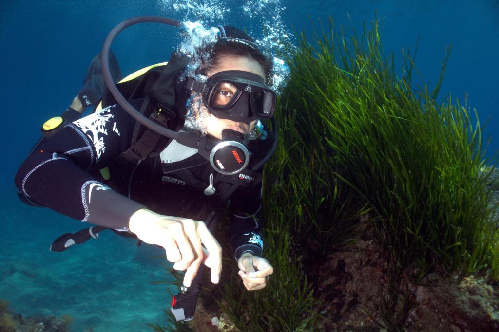 Derechos de imagen reservados por Booking.com