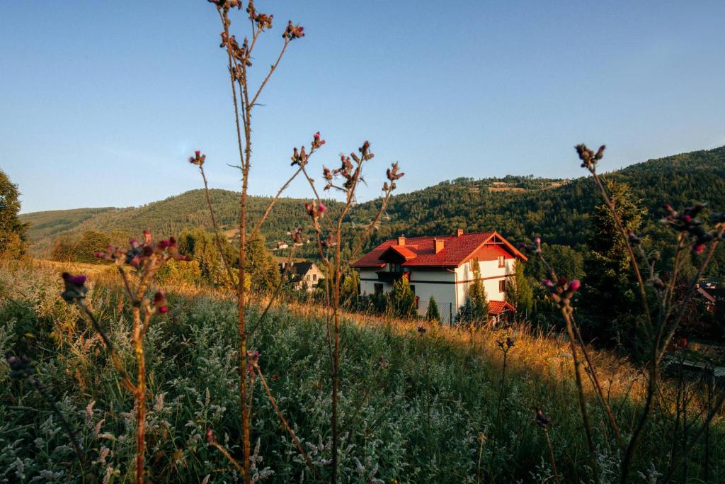 Príroda v okolí of the bed and breakfast