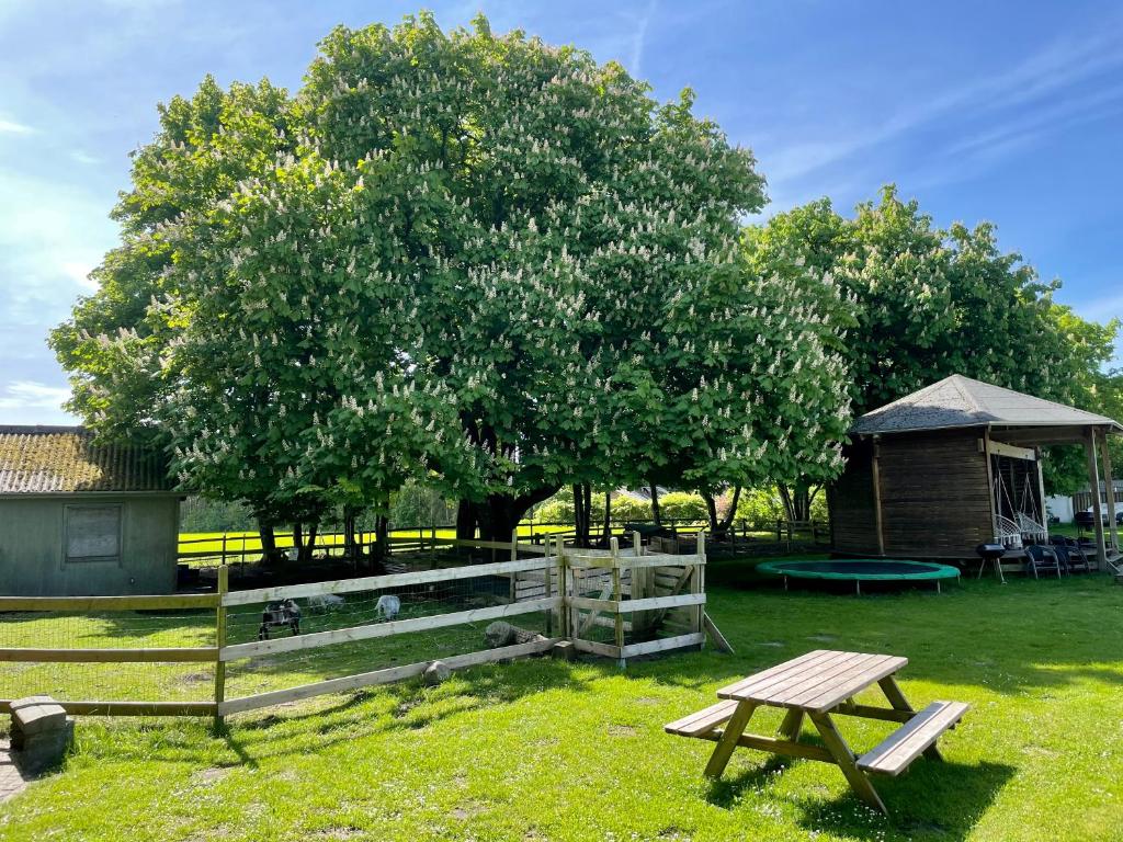 Zahrada ubytování Hestkær Family Rooms