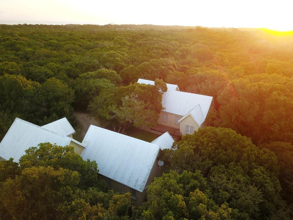 an aerial view of a house in the woods at The Plantation in Port Elizabeth