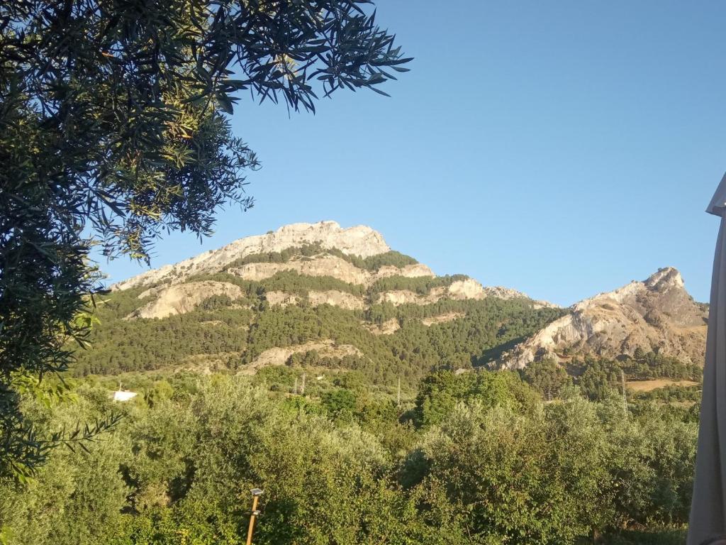 Príroda v okolí of the country house
