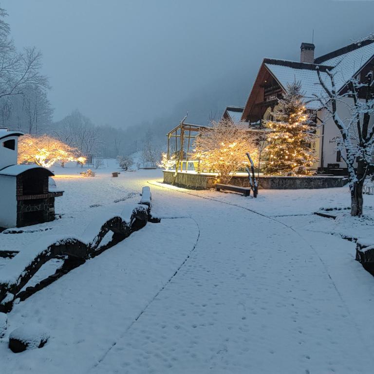 a yard covered in snow with christmas lights at Pensiunea Doina in Vadu Izei