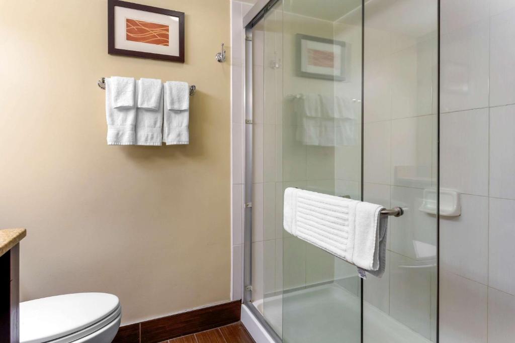 Koupelna v ubytování Comfort Inn Hammond I-94