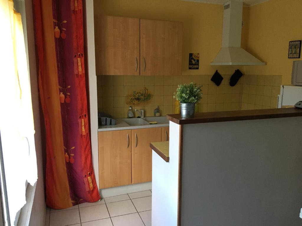 Kuchyň nebo kuchyňský kout v ubytování Appartement T1Bis dans un mas