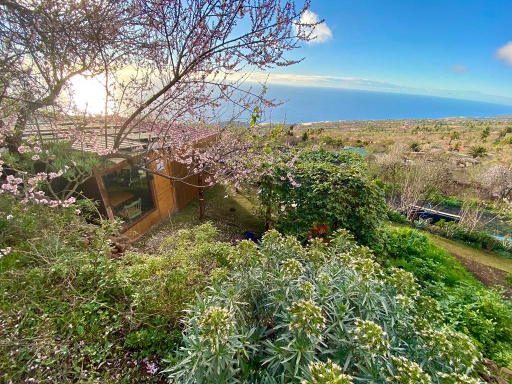 une maison entourée de plantes et de fleurs sur une colline dans l'établissement AbraCaRiBes, à Arecida