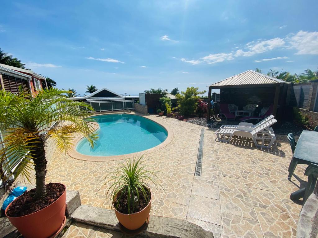 een zwembad met een palmboom in een tuin bij Au Champ de Cannes in Petite Île