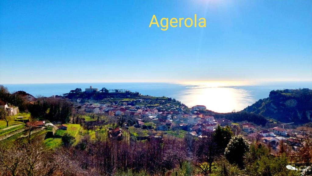 Olimpo degli Dei - 18