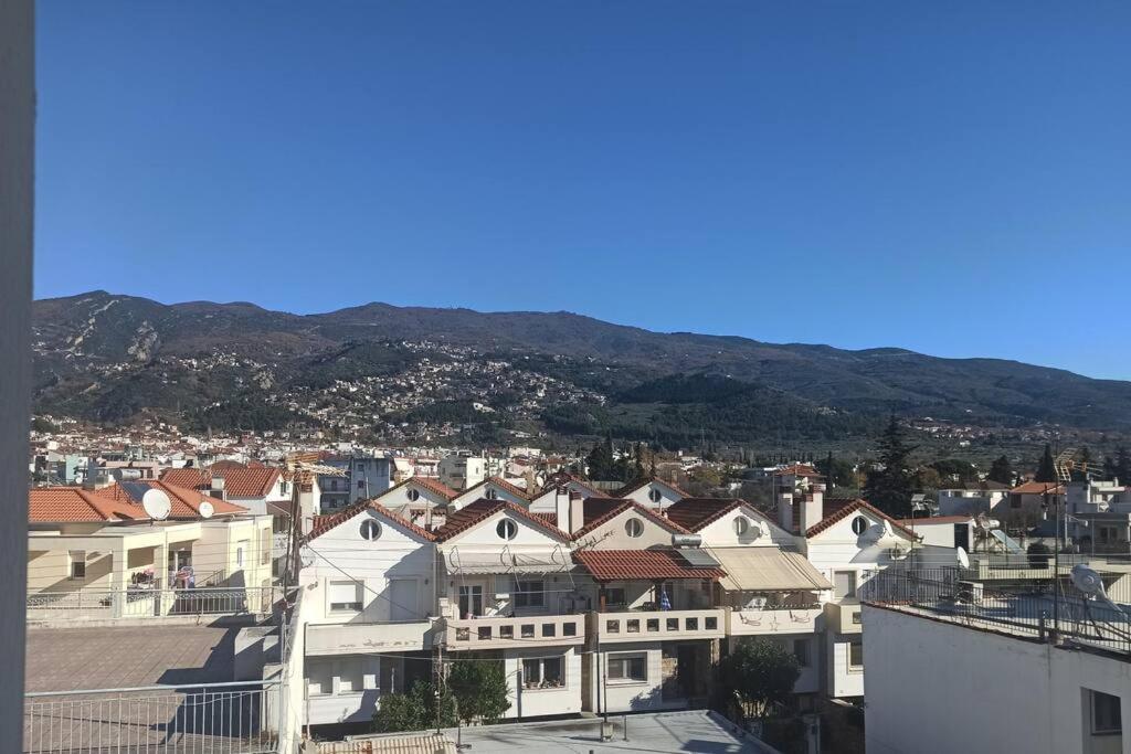 a city with houses and mountains in the background at Classic and Chic in Volos