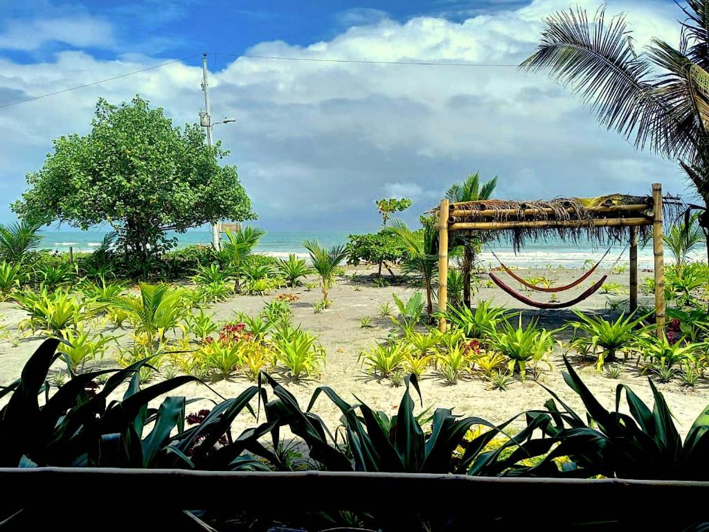 Zahrada ubytování Seaside Garden Ecolodge Mompiche