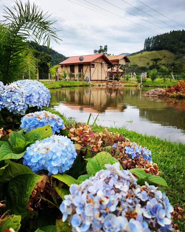 a group of blue flowers in front of a pond at Caminhos da Serra do Tabuleiro - Chalé do Lago in São Bonifácio
