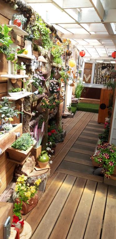 a store filled with lots of potted plants at Loft dans les Vosges idéal 2 personnes in Le Thillot