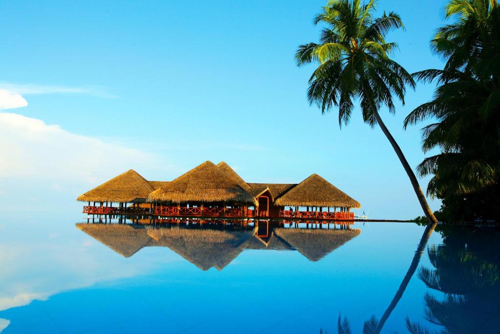 a house on the water with a palm tree at Medhufushi Island Resort in Muli