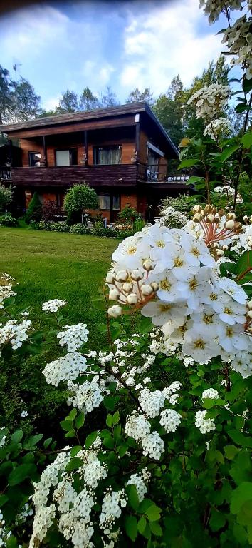 Viešnagė pas Valentiną - Twee Slaapkamers Huis
