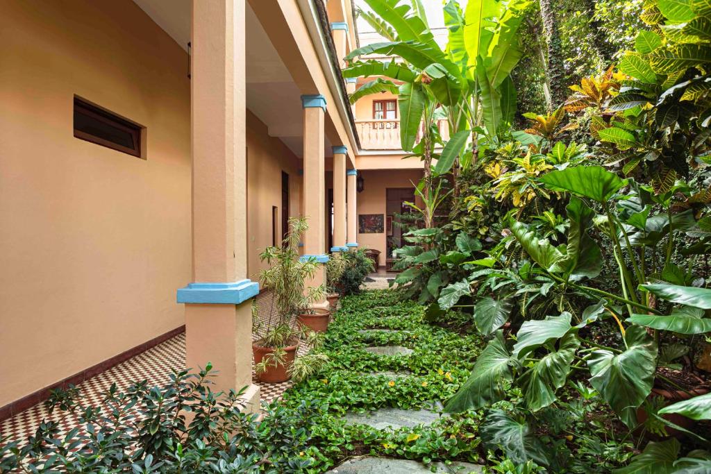 Zahrada ubytování Hotel Villa Colonial