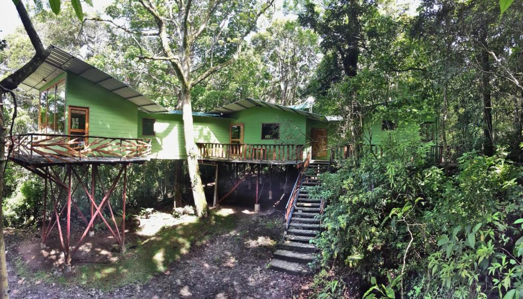 uma casa verde no meio da floresta em Canopy Wonders Vacation Home em Monteverde