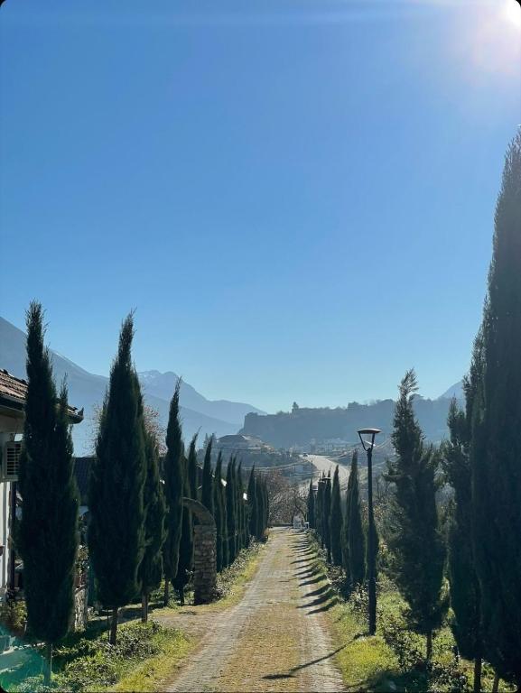 a road lined with cypress trees on a hill at Guesthouse Lord Byron in Tepelenë