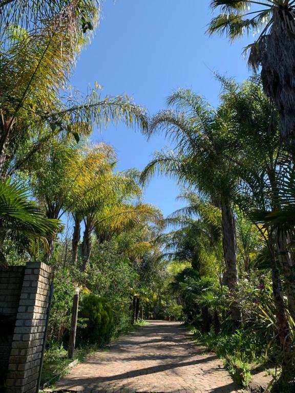 Apartment Sunflower & Moonflower, Cape Town, South Africa