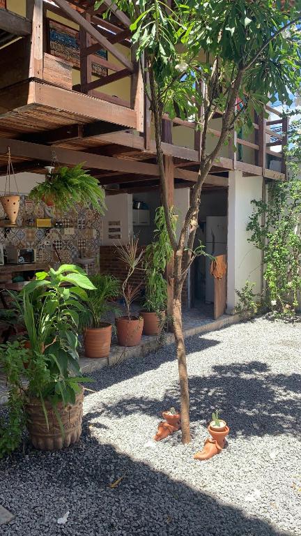 pousada Guadalupe في أوليندا: مبنى به مجموعه من النباتات والشجر