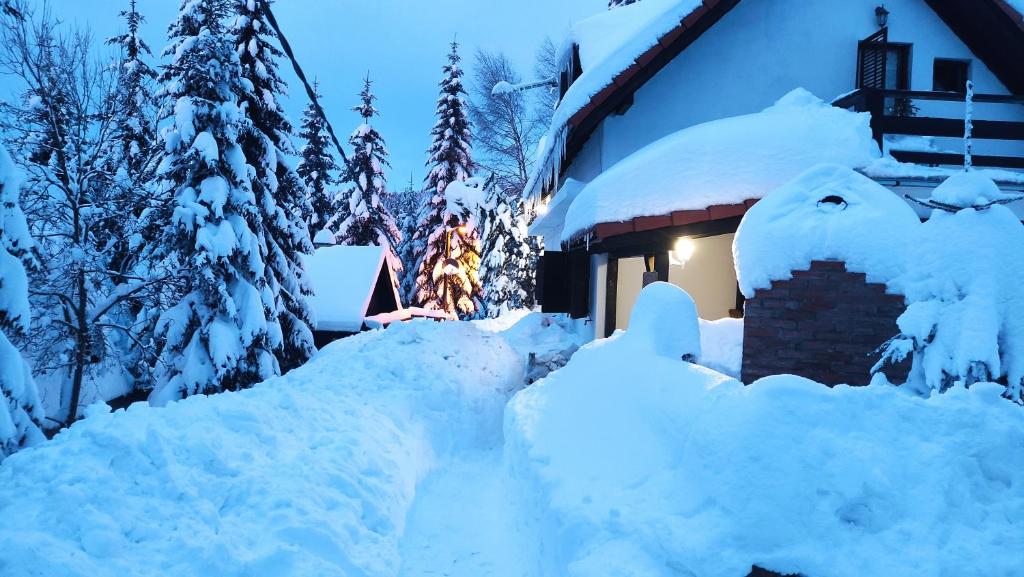 une maison recouverte de neige à côté des arbres dans l'établissement Uki & Sofi mountain house, à Kopaonik