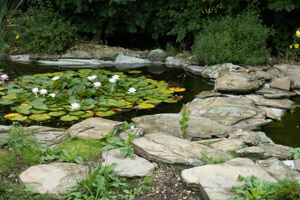 Zahrada ubytování Benger Garden Chalets