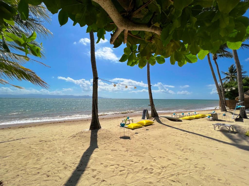 a beach with palm trees and the ocean at Sea Love Beach Bar & Bungalows in Ban Tai