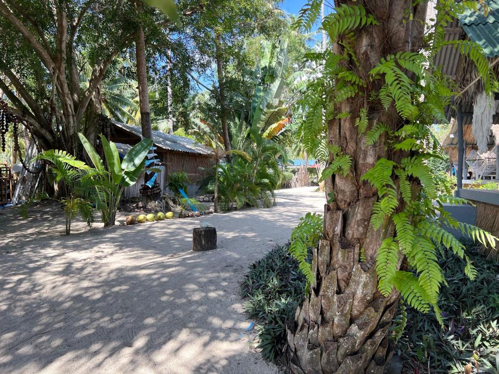 a tree with leaves on it next to a street at Sea Love Beach Bar & Bungalows in Ban Tai