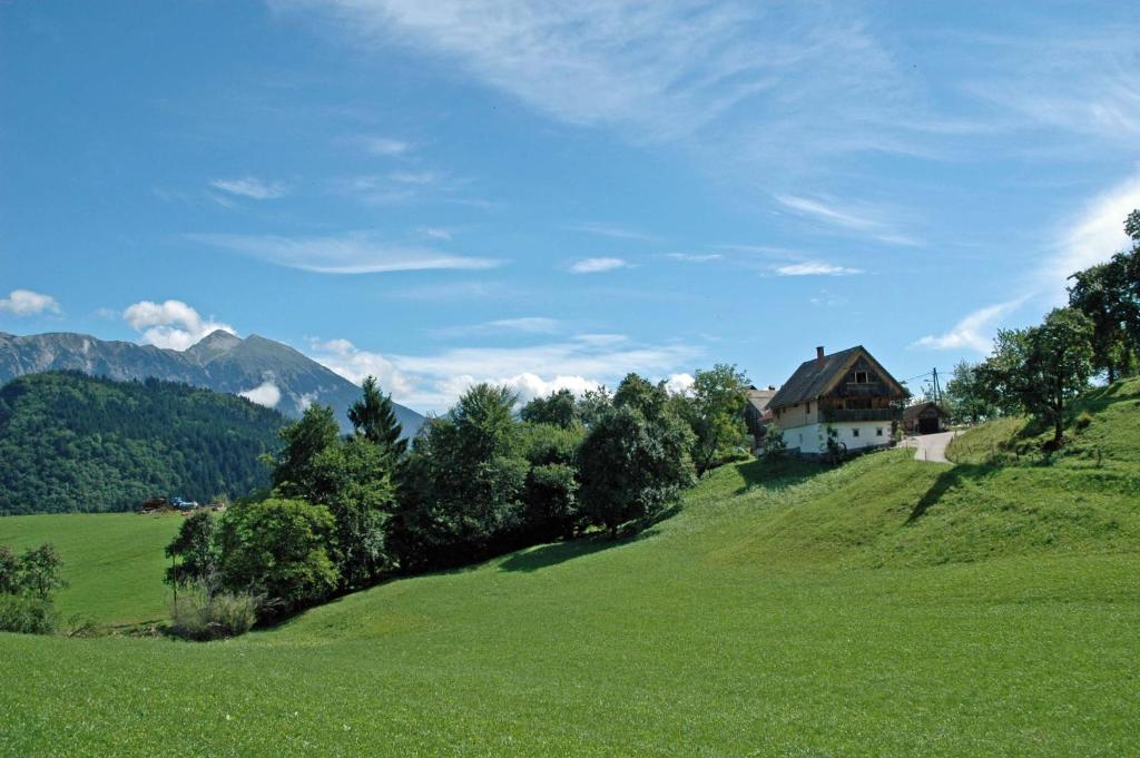 una casa en una colina con un campo verde en Apartment Sonca, en Bled