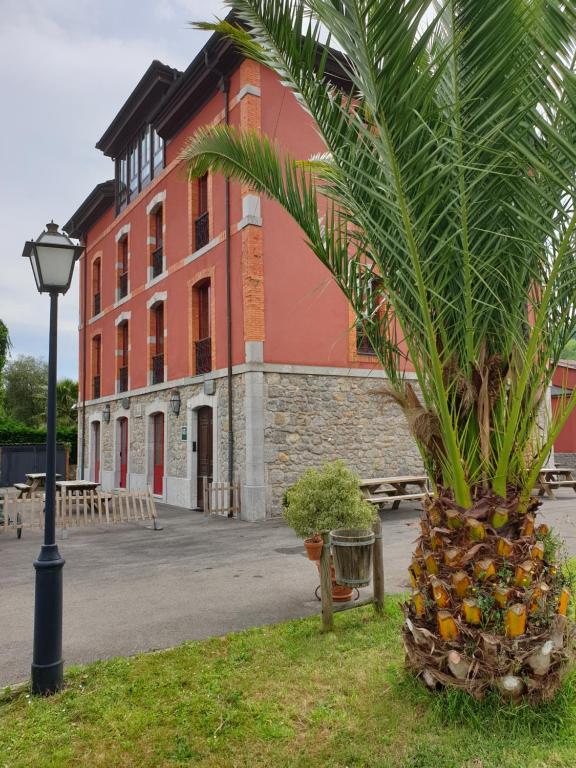 a palm tree in front of a building at Casa Josefita in Villamayor