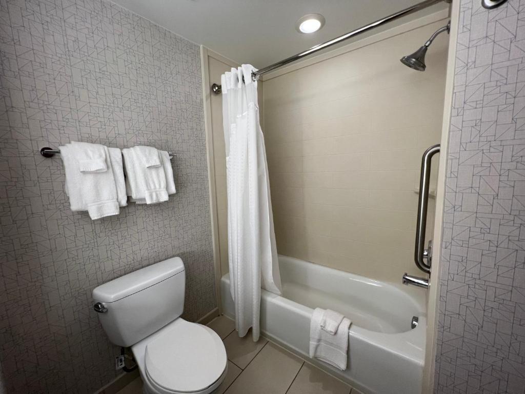 Holiday Inn Express & Suites Columbia - East Elkridge, Jessup an IHG Hotel - King Suite Con Sofá Cama
