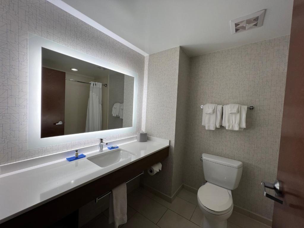 Holiday Inn Express & Suites Columbia - East Elkridge, Jessup an IHG Hotel - Habitación Estándar